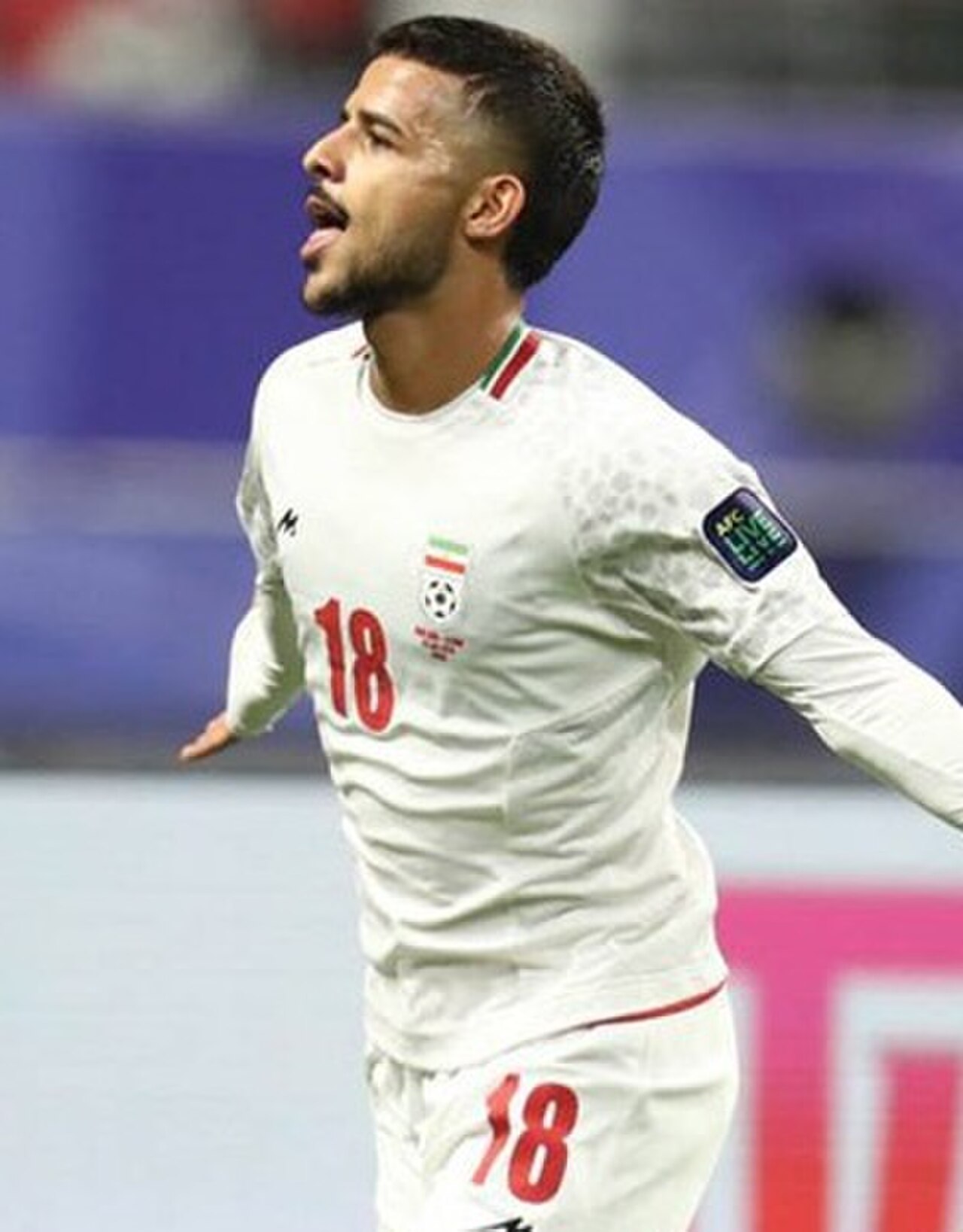 Mehdi Ghayedi
