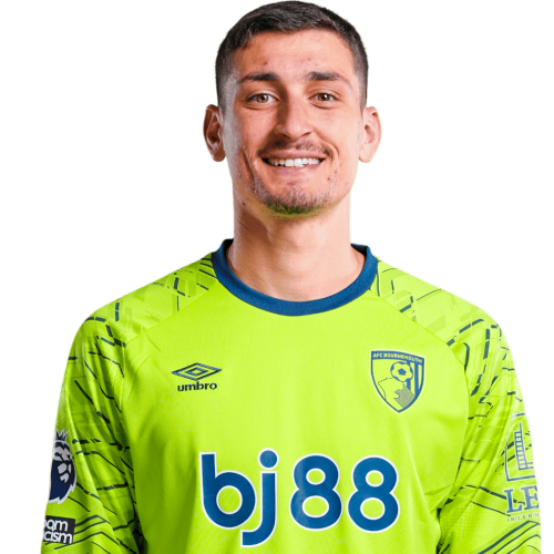 彼得罗维奇 Đ. Petrović 2