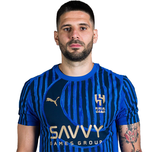 亚历山大·米特罗维奇 Aleksandar Mitrović 2