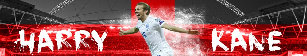 哈里·凯恩 Harry Edward Kane 8