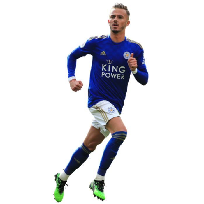 詹姆斯·麦迪逊 James Daniel Maddison 3