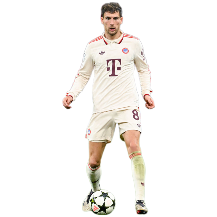莱昂·戈雷茨卡 L. Goretzka 3