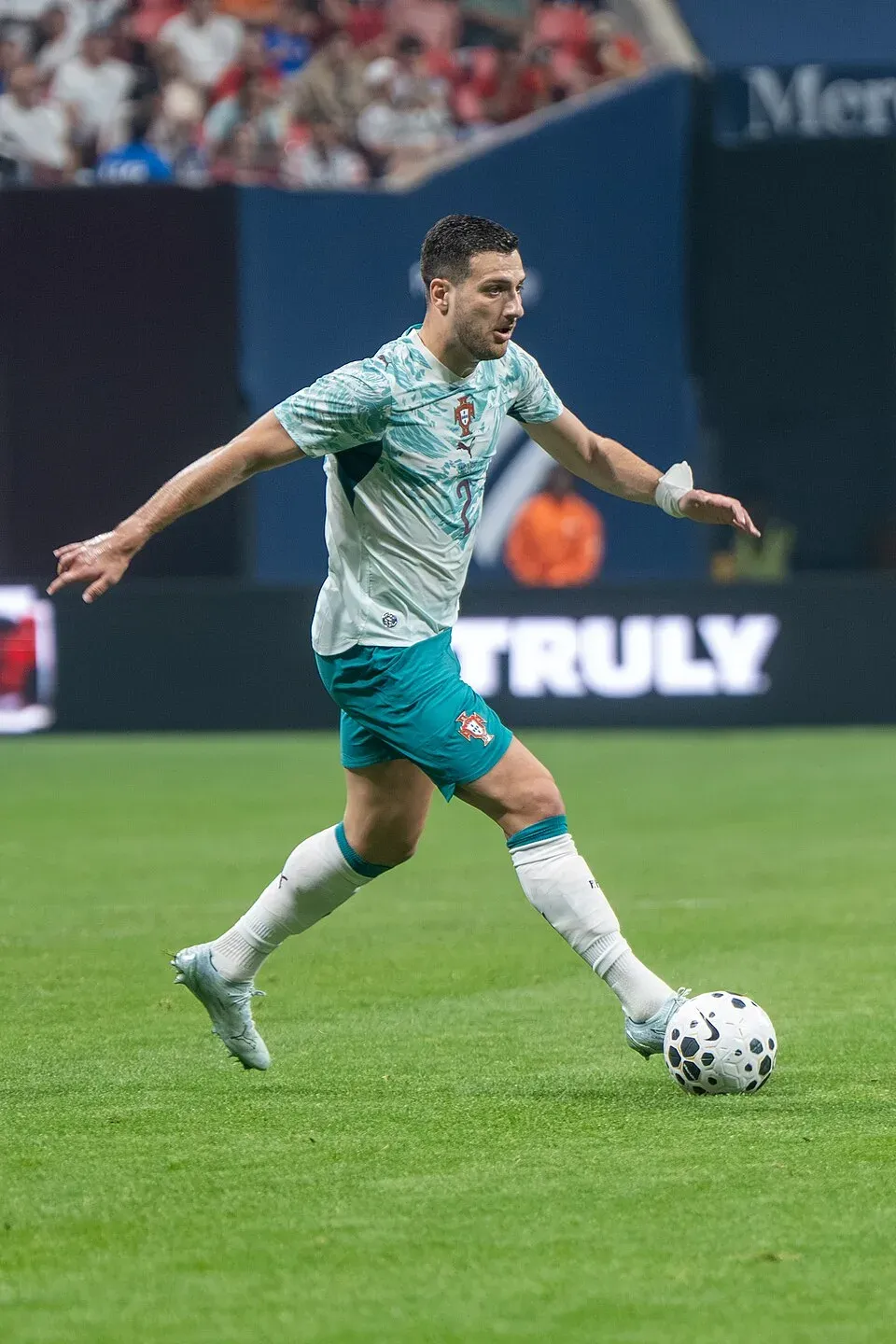 Diogo Dalot