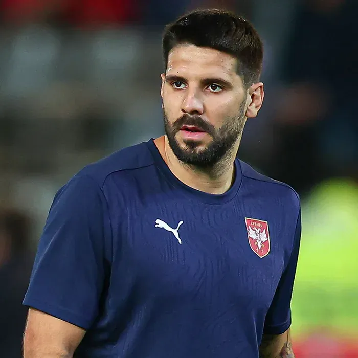 亚历山大·米特罗维奇 Aleksandar Mitrović 1