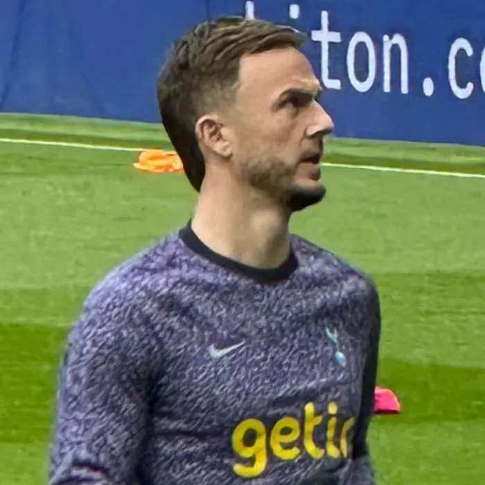 詹姆斯·麦迪逊 James Daniel Maddison 1