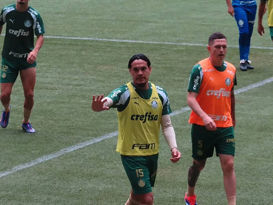 Gustavo Gómez