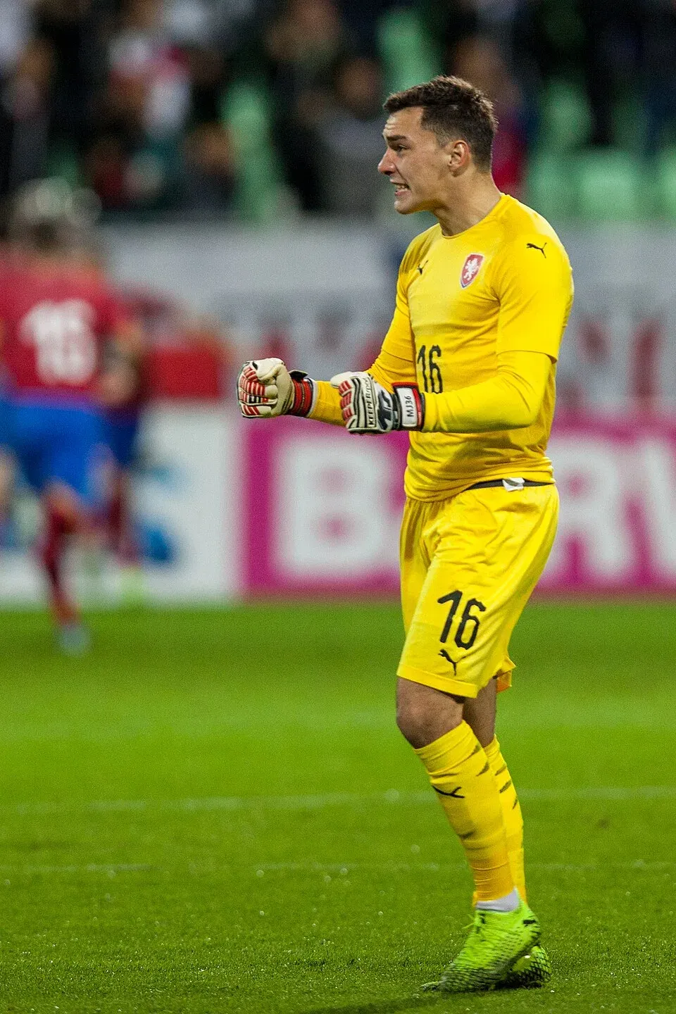 Martin Jedlička
