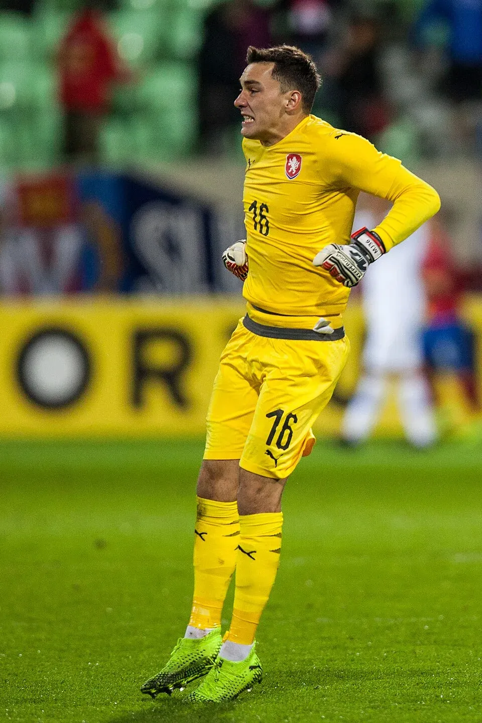 Martin Jedlička