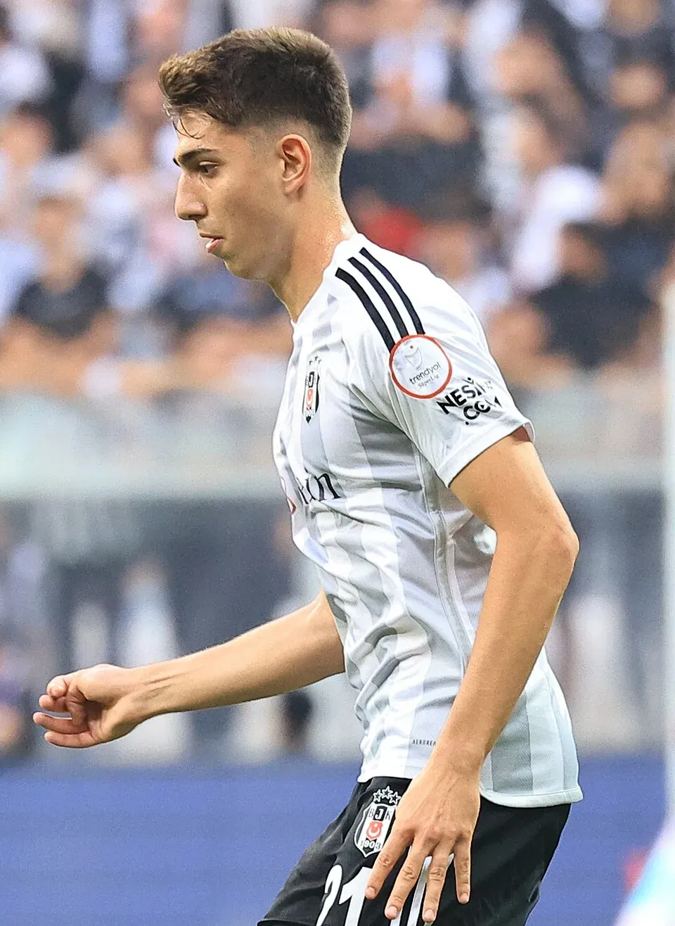 Demir Ege Tıknaz