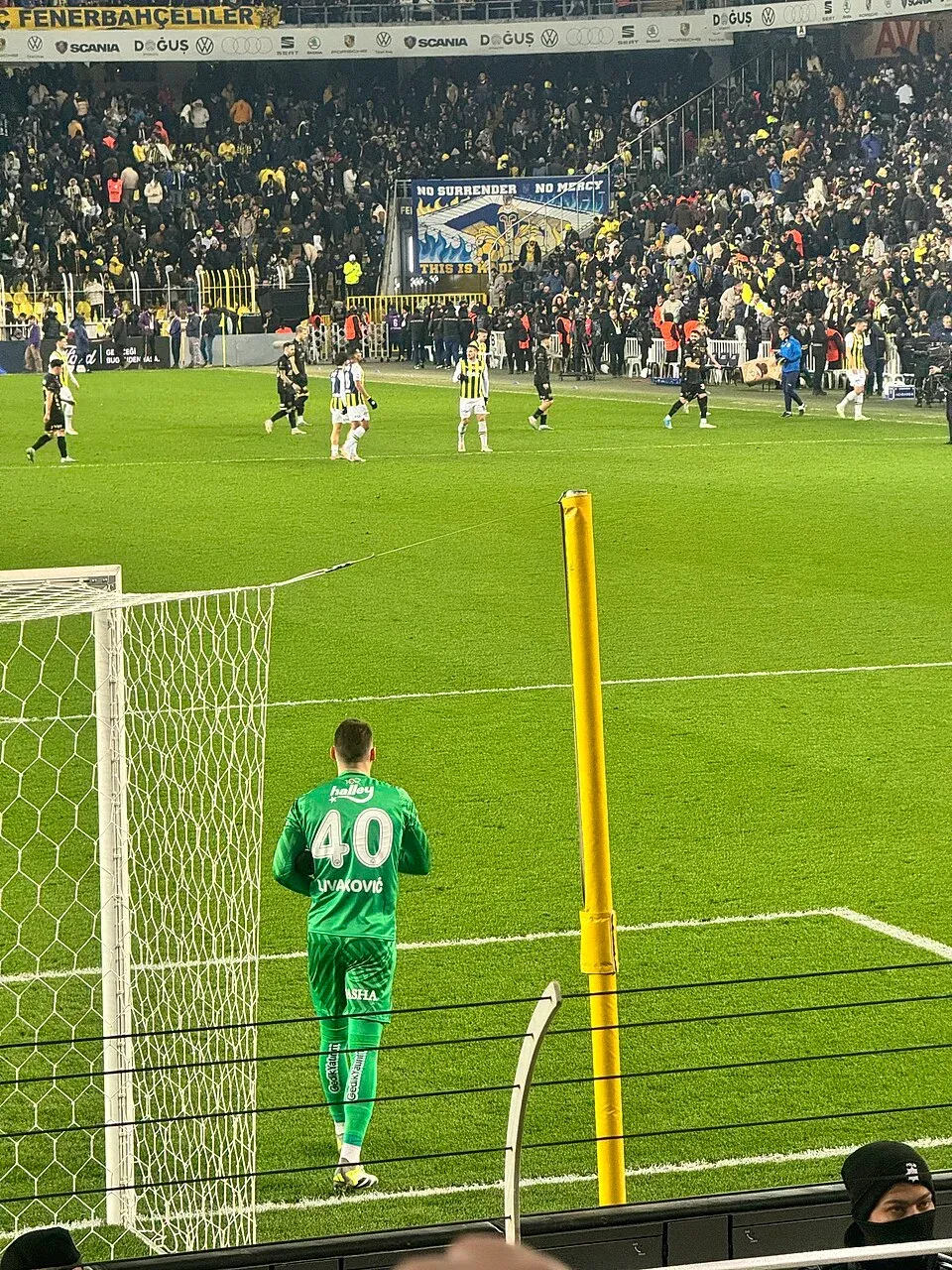 Dominik Livaković