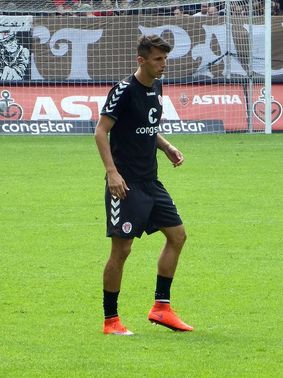 Ante Budimir